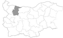 Карта РЗИ - Враца